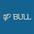 Аккумуляторный инструмент Bull