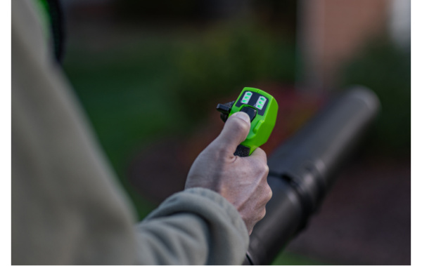 Воздуходув аккумуляторный ранцевый GD40BPG2 40В Greenworks